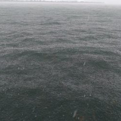 続エビモパターン