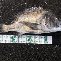 チニングゲーム 長崎 大村市周辺