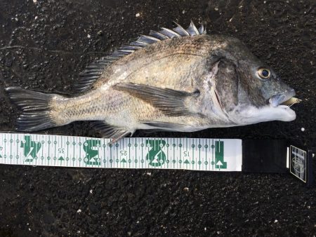 チニングゲーム　長崎　大村市周辺