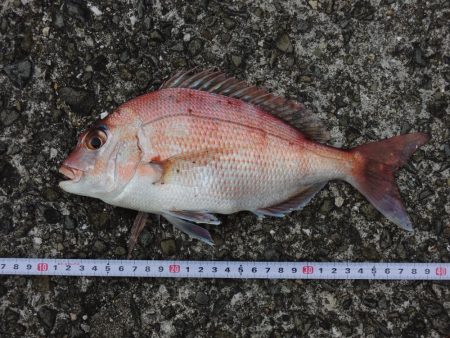 雨後のキスは不調