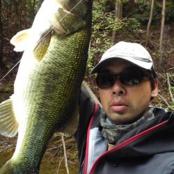 コンディション良好