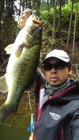 コンディション良好