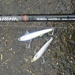 神崎川 河口 シーバス