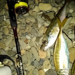 フロートゲーム