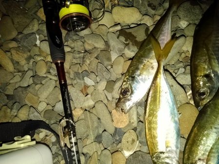 フロートゲーム