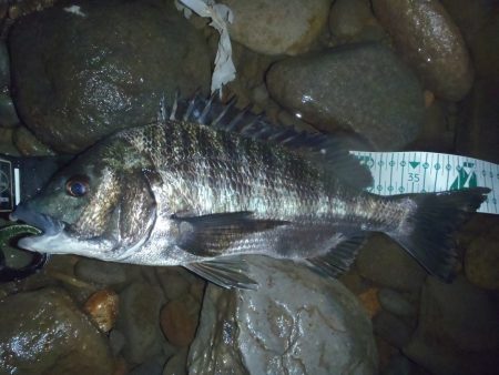 ナイトルアーゲーム　長崎大村市周辺