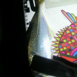 突風と雷雨の中のアジング