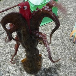 やっと・こましなタコ