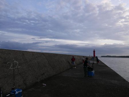 大阪湾でタコ釣り好調!650gクラス含む7杯!