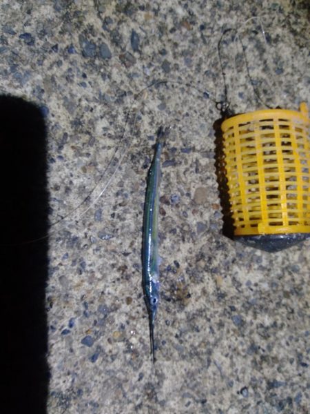 梅雨最後のライトゲーム