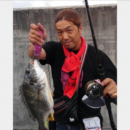 大雨で塩分濃度が下がったか?