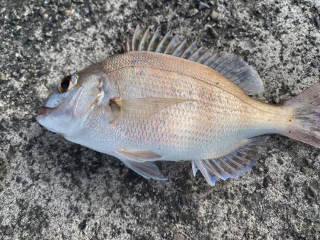 チニングでついに！