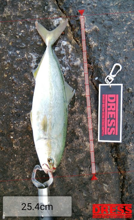 ライトショアジギングで久々の大物!?