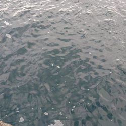 サイズダウン。。