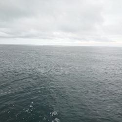 狙いの魚は連れましたがサイズが