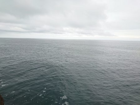 狙いの魚は連れましたがサイズが