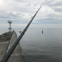 日の出から西宮ケーソンでショアジギ!
