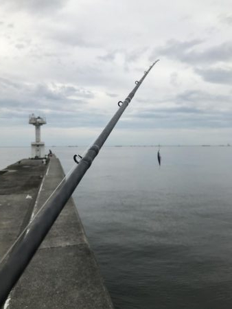 日の出から西宮ケーソンでショアジギ!