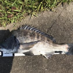 イチノ兄弟、釣果!