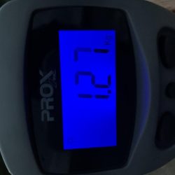 春烏賊まだ居ます