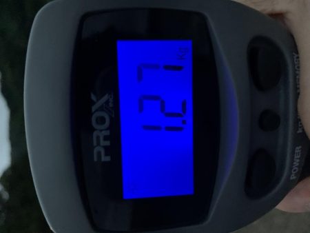 春烏賊まだ居ます