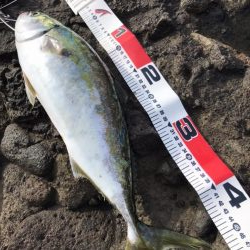 真夏・真昼間のトップゲーム