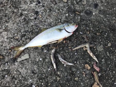 スーツバとの勝負