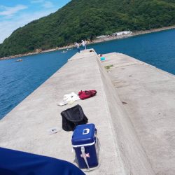 ラッキーは二度刺す