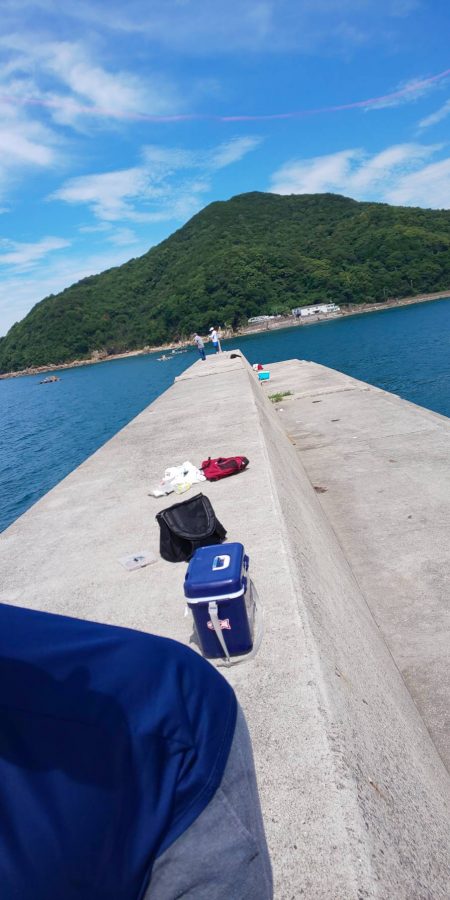 ラッキーは二度刺す