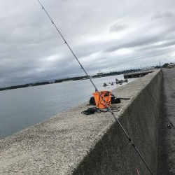 アジ !サバ!イカ!