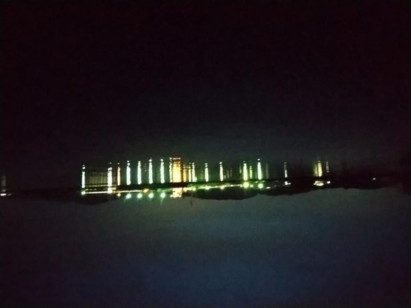 アジじゃなくてカマス!