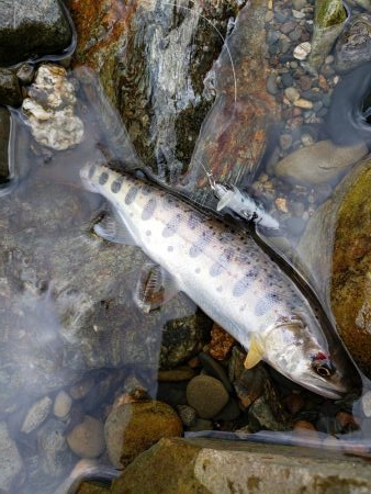 雨が吉と出るか⁉️