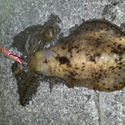 まさかの二キロアップ♪♪