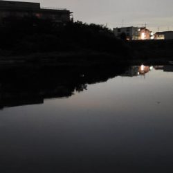 こんな状況なので近場で…