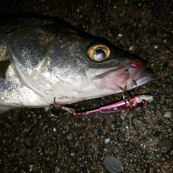 シーバスナイトゲーム