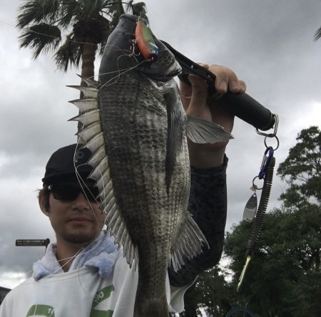 雨濁りのチニング