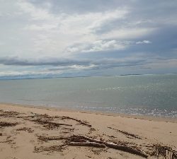 これじゃない。