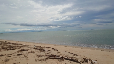 これじゃない。