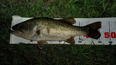 全開放流で湖流はや！