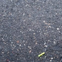 タチウオ&ツバス