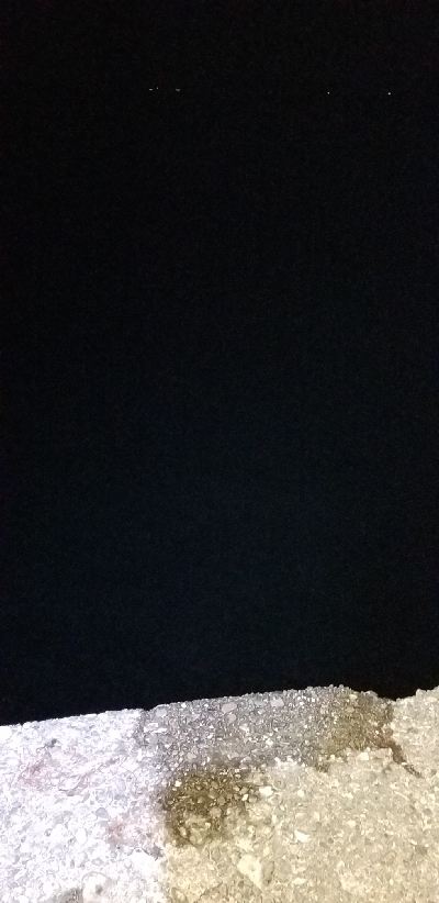 タチウオ釣り&各地のタチウオ釣果報告