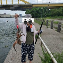 ダイソーエギ改