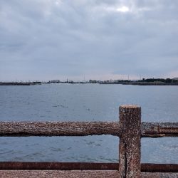 オクトパッシング