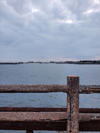 オクトパッシング