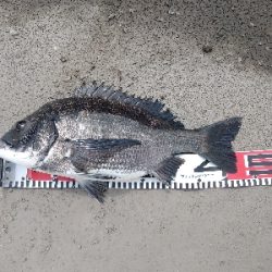 なんちゃってスライダー釣法で釣れました！