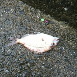 思わぬ強烈なアタリに対応出来ず…