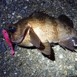 ちょこっとメバリング