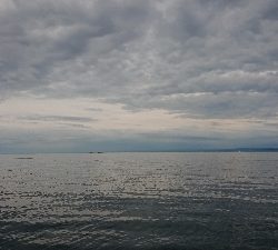 ファミリーフィッシング