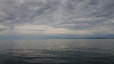 ファミリーフィッシング