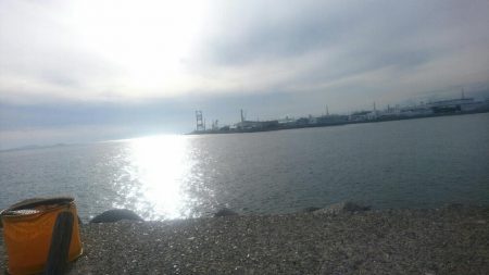 タコ釣れました。